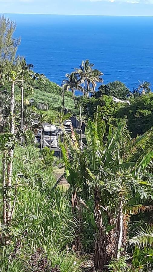 Chambre Vue Sur Mer Entre Grande Anse Et Manapany Petite Île المظهر الخارجي الصورة